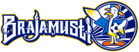 Brajamusti
